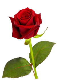 · Aforismos, frases y citas de Sabiduría · Sabiduría del Corazón · Ediciones Epopteia ·