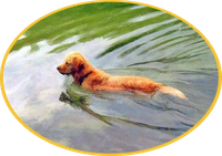 · Relatos, textos, historias y textos Sufíes · Shiblí y el perro · Relatos de la Tradición Unánime ·