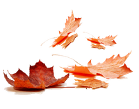 · 20 de marzo de 2026 · Hemisferio Sur · Inicio del Otoño en el Hemisferio Sur ·